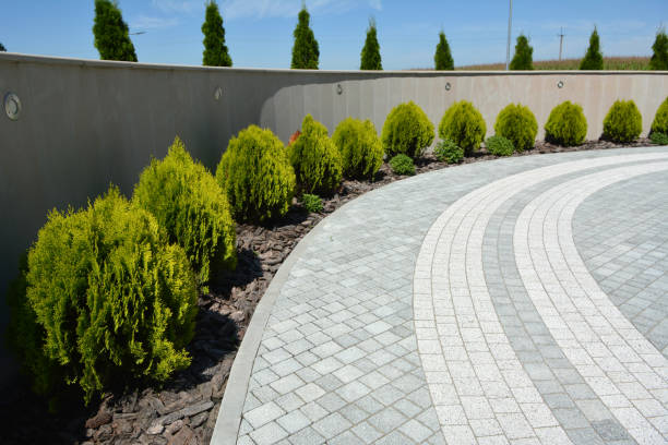 Best Driveway Paver Repair  in Winnie, TX